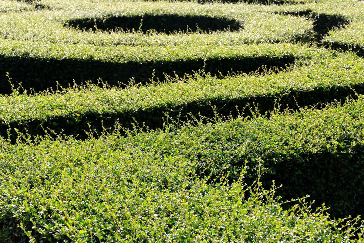 Vente en indivision : Les clés pour naviguer dans ce labyrinthe juridique