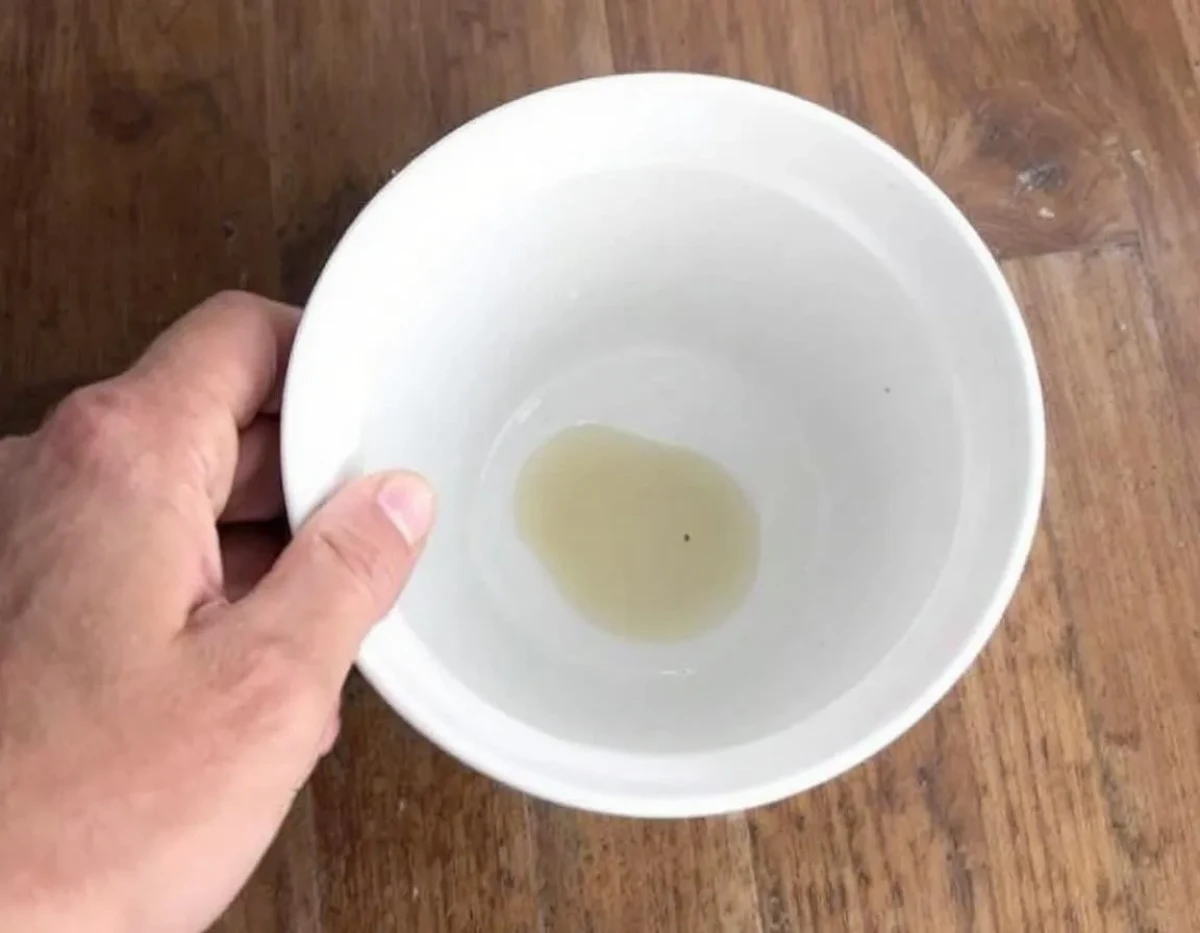 Guide Complet pour Créer Votre Liquide Vaisselle Maison : Économique et Écologique